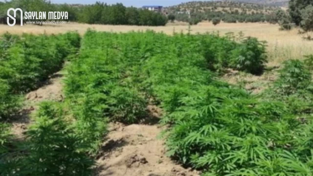 İçişleri’nden Diyarbakır Gömeç’e narkoterör ’Abluka’sı