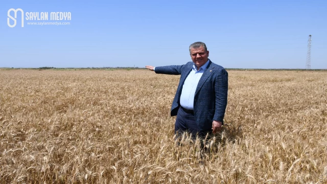 Venezuela'yı bırak, Türkiye'ye bak