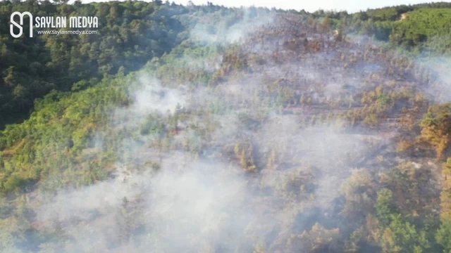 Sakarya Adapazarı’ndaki yangın kontrol altına alındı