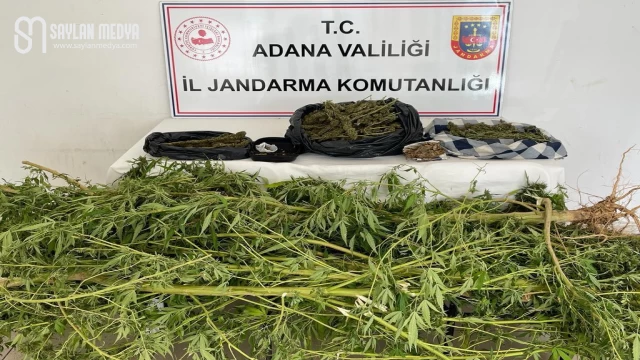 Adana'da yapılan operasyonla uyuşturucu madde bulundu