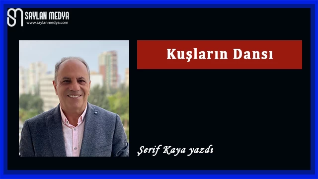 Kuşların Dansı