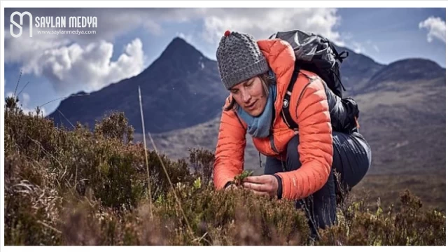Kuzey Kutbu’nda tehlikeli yeşerme