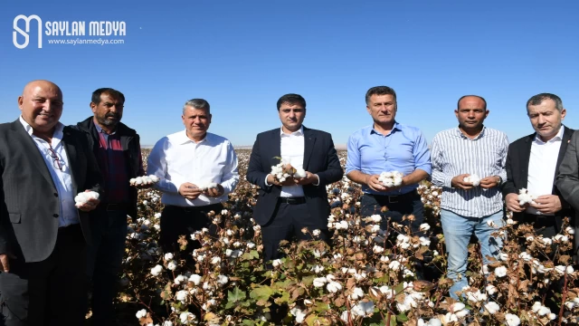 Şanlıurfalı pamuk üreticileri CHP'li vekillere dertlerini anlatıp çözüm istedi