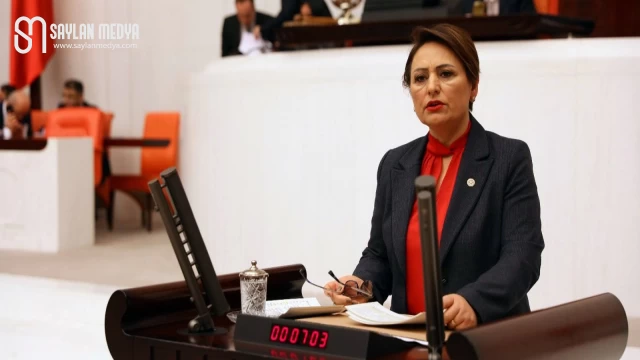 Dr. Müzeyyen Şevkin: Artık Adana'yı üvey evlat olarak görmekten vazgeçin
