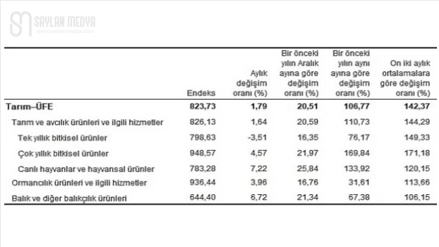 TÜİK: Tarım ürünleri üretici fiyat endeksi (Tarım-ÜFE) yıllık %106,77, aylık %1,79 arttı