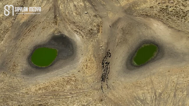 20-30 yılda ’su kıtlığı’ yaşayacağız! Temel neden iklim değişikliği...