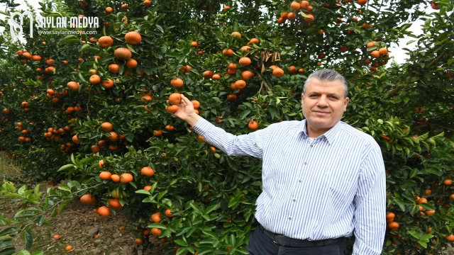 Ayhan Barut, kan ağlayan narenciye üreticilerinin sorunlarına çözüm istedi, önerilerini sıraladı