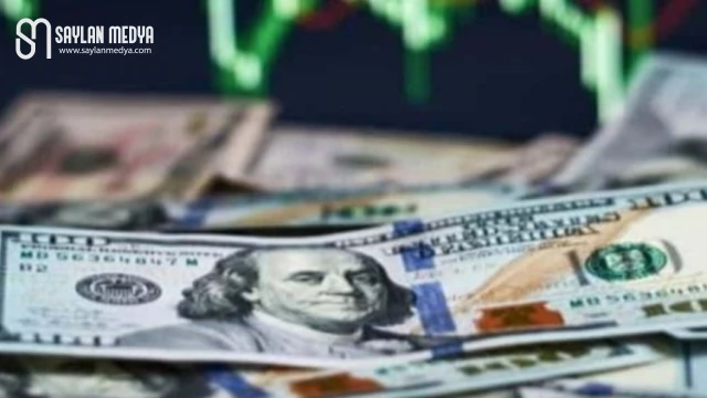 Dolar 31 TL’yi aştı!