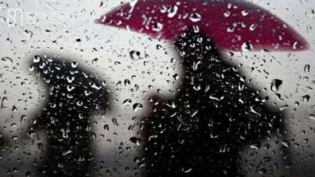 Meteoroloji uyardı! Sağanak yağışa dikkat... ADANA 31°C