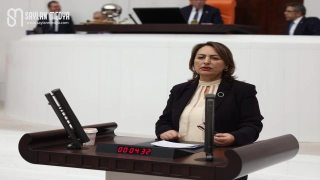 Müzeyyen Şevkin: Vatandaşın cebine girmesi gereken 100 milyar lira Çinli firmaya aktarıldı