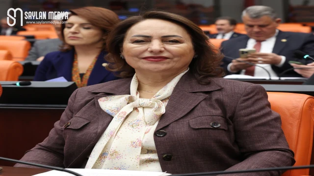 Müzeyyen Şevkin: Adana ilçelerinde hükümetin izi yok