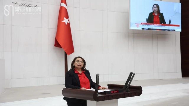 Müzeyyen Şevkin: İliç faciasında neyi gizlemeye çalışıyorlar?