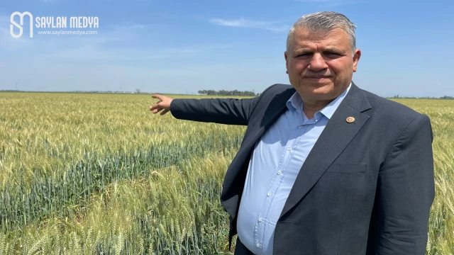 Ayhan Barut'tan buğday üreticileri için açık çağrı