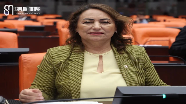 Müzeyyen Şevkin: Emekliler torunlarından köşe bucak saklanıyor