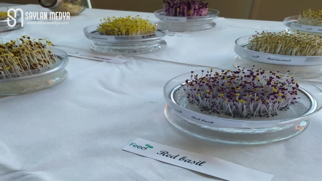 Yenilebilir Filizlerden Sağlıklı Gıdaya