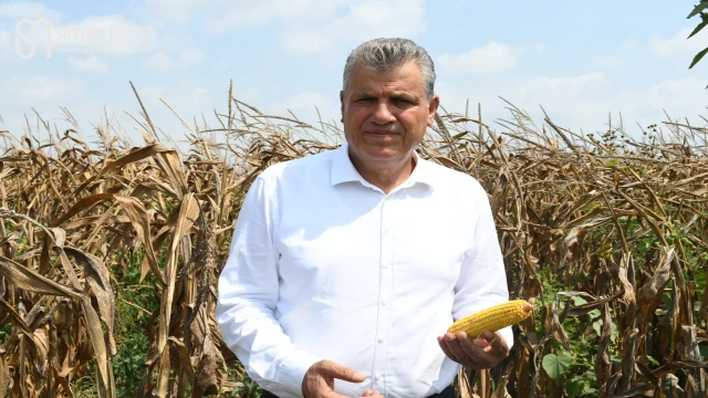 Ayhan Barut'tan 500 bin tonluk mısır ithalatı kararına sert tepki