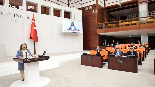 En pahalı kömürün tonu 9400 lira, en ucuz zeytinin tonu 200 bin lira