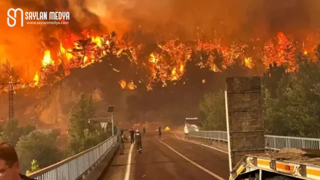 Eskişehir’deki orman yangınında 5 orman işçisi ve 5 AKUT çalışanı hayatını kaybetti