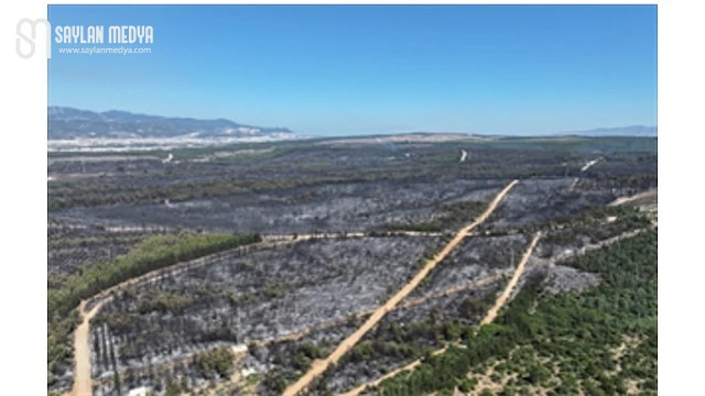 Tugay: Yangın bölgeleri için elimizden geleni yapacağız ama dayanışmaya ihtiyacımız var