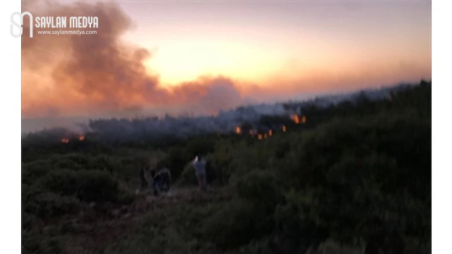 Urla’da yangın kontrol altına alındı