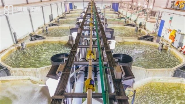 ADANA KARATAŞ TARIMA DAYALI İHTİSAS SU ÜRÜNLERİ ORGANİZE SANAYİ BÖLGESİNDE ÖN TALEP SÜRECİ BAŞLIYOR