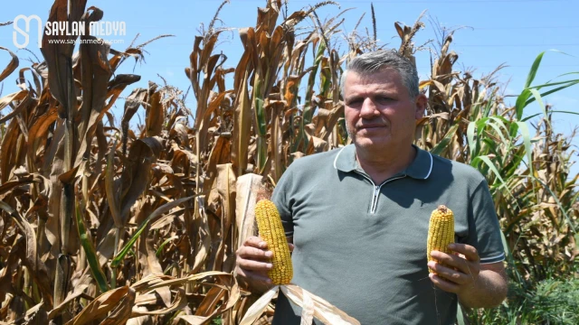 Ayhan Barut’tan mısır fiyatı çağrısı