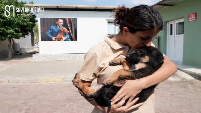 ÇUKUROVA BELEDiYESI’NDE BARINAK MELEKLERİ GÖREV BAŞINDA