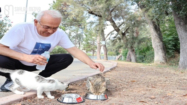 Yusuf Kanlı, sokak hayvanları ve kuşlar için çağrı yaptı