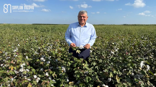 Ayhan Barut: AKP iktidarı pamuk ithalatına 30 milyar harcadı