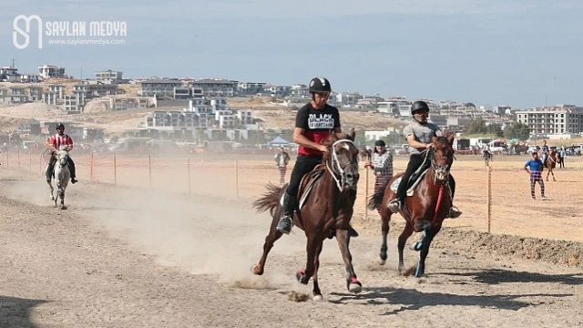 Türkiye’nin şampiyon atları Menemen’de yarıştı
