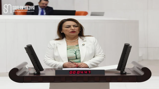 Müzeyyen Şevkin: Vatandaş, KOBİ, tarım sektörü tümden borç batağında