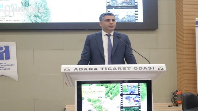 Seyhan, Ceyhan, Tarsus Çayı ve Deliçay, sanayi baskısı altında