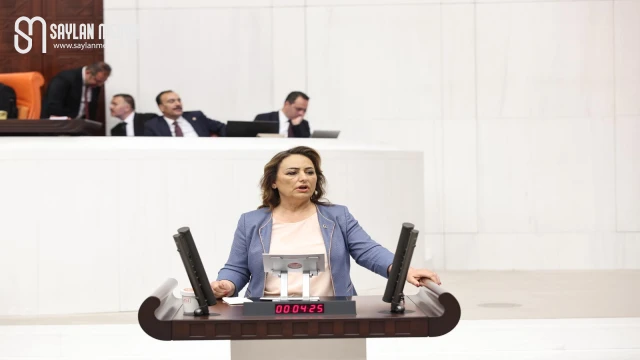 Pozantı’nın tüm sorunları meclis gündeminde