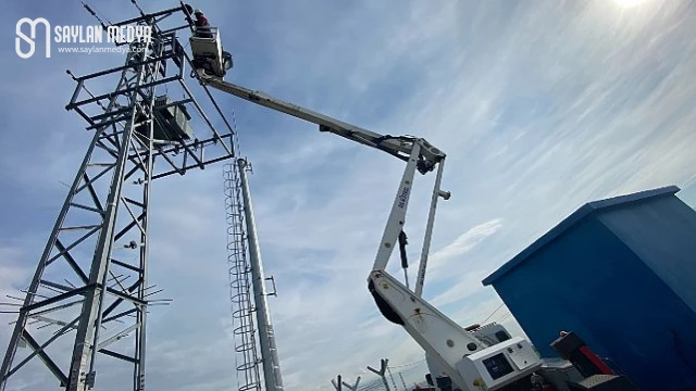 Kuşların göç yolculuğunda “Elektrik Çarpması Tehdidinin Önlenmesi” için uluslararası çalışma...