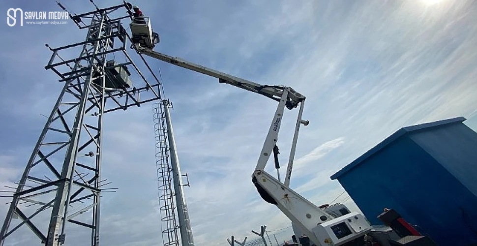 Kuşların göç yolculuğunda “Elektrik Çarpması Tehdidinin Önlenmesi” için uluslararası çalışma...