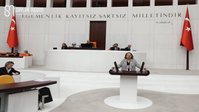Müzeyyen Şevkin, meclis kürsüsünden Adana’nın sorunlarını tek tek anlattı, çözüm istedi