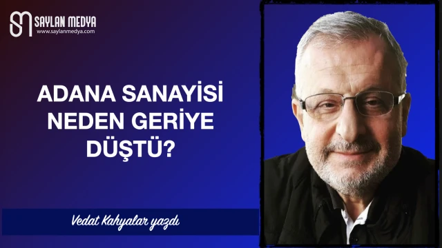 Adana sanayisi neden geriye düştü?