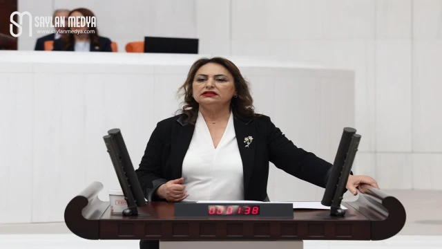 Telefonla dolandırıcılığa karşı araştırma çağrısı