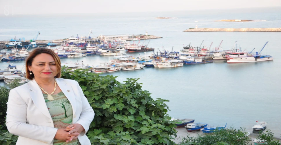 Ücretsiz Halk Projesi’ne ne oldu?