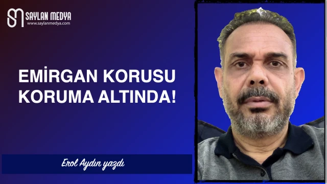 Emirgan Korusu koruma altında!