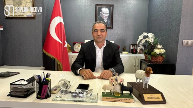 Canlı koyun keçi kilogram fiyatı 400 Lira