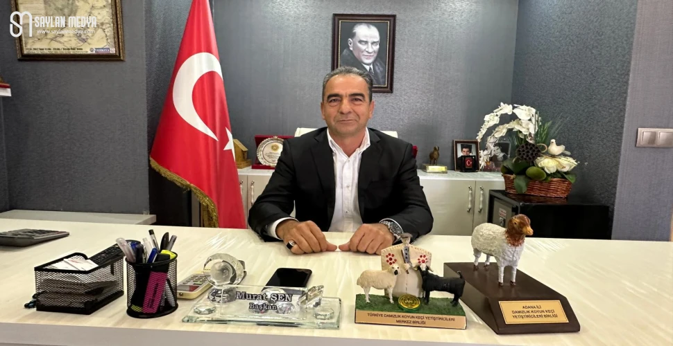 Canlı koyun keçi kilogram fiyatı 400 Lira