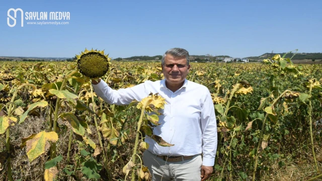 Ayhan Barut’tan sıfır gümrük vergili Ayçiçek ithalatı kararına sert tepki