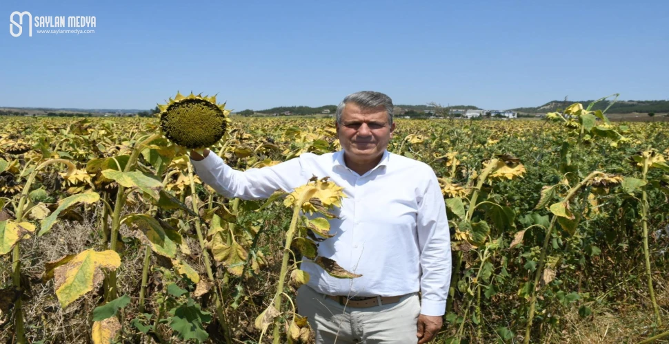 Ayhan Barut’tan sıfır gümrük vergili Ayçiçek ithalatı kararına sert tepki