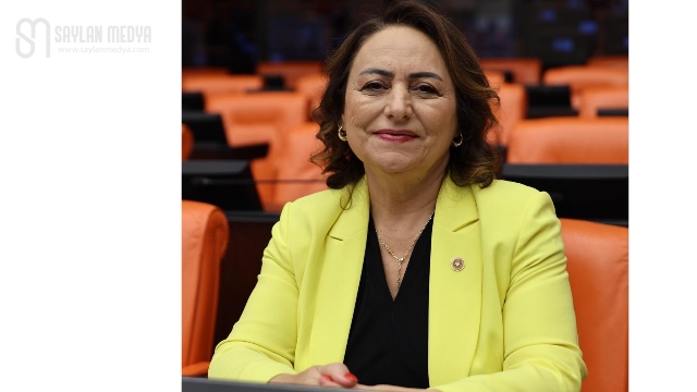 TMMOB ve bağlı odaların sorunları meclis gündemine taşındı
