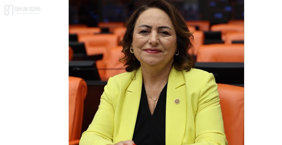 TMMOB ve bağlı odaların sorunları meclis gündemine taşındı