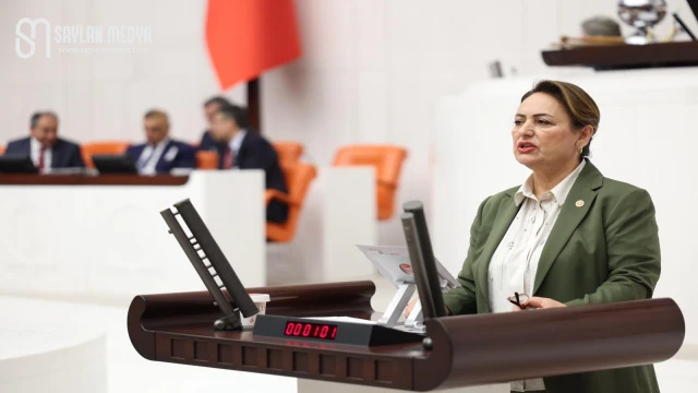Bilim insanlarının sesi meclise taşındı…