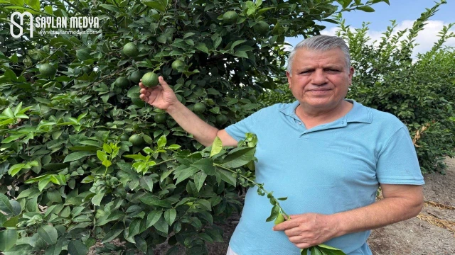 Maliyet 10 lirayken 5-6 lira dayatması kabul edilemez