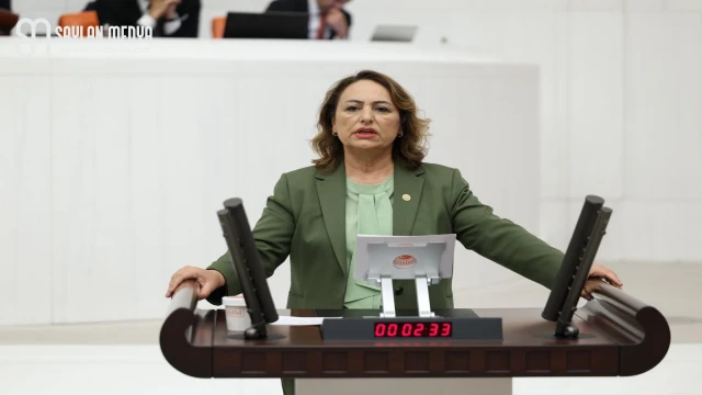 Müzeyyen Şevkin’den Bakan Yumaklı’ya 41 soru!