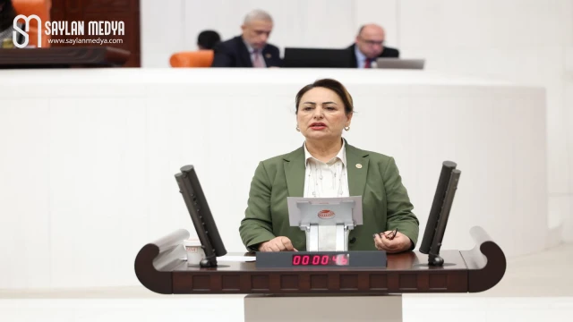 CHP’li Dr. Şevkin’den engelliler ve aileleri için kritik önergeler